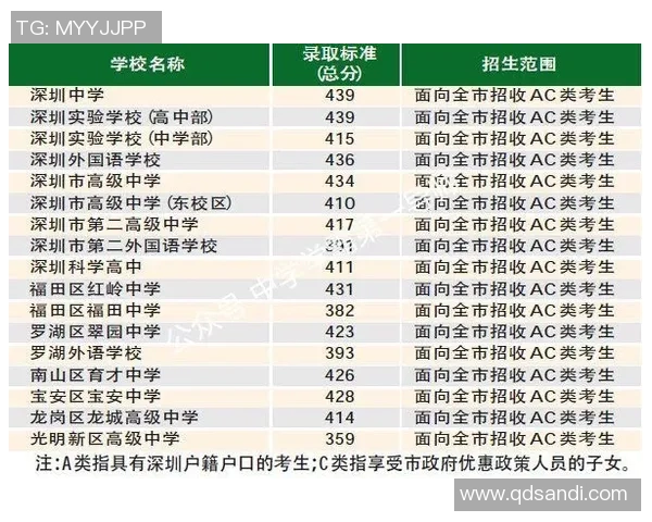 深圳排球队在钻石联赛积分榜上以53分稳居第一名展现强劲实力