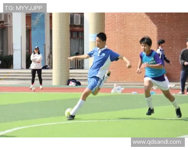 追逐梦想的脚步足球明星的热血励志之路